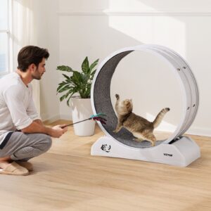 Cat Exercise Wheel for indoor cats treadmill