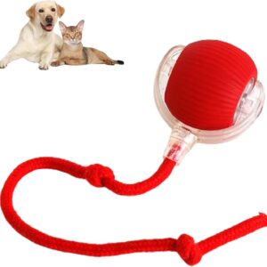 Rolling Ball Pet Toy for Cats and Dogs Gray