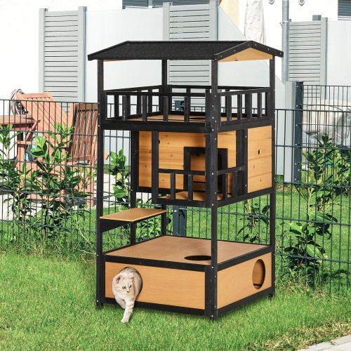 outdoor cat house
