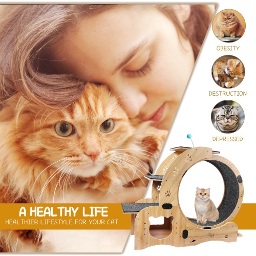 Cat Wheel 6 in 1 Cat Fitness Wheel natural wood indoor exercise