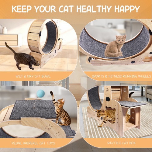 Cat Wheel 6 in 1 Cat Fitness Wheel natural wood indoor exercise