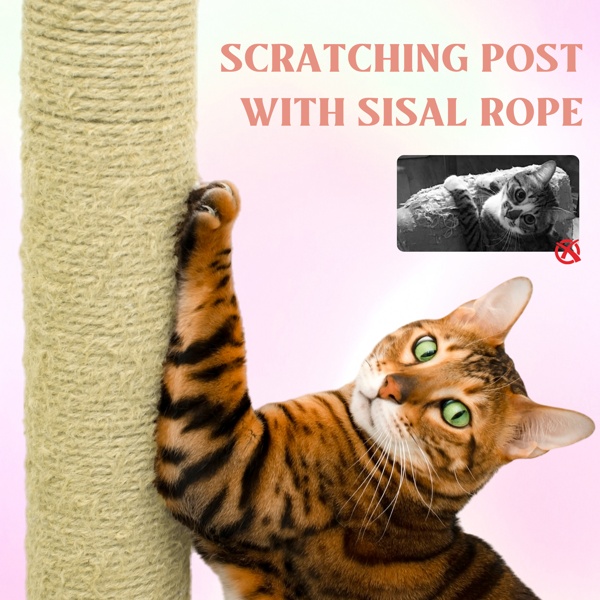 Flower Cat Tree with Large Condo Pink