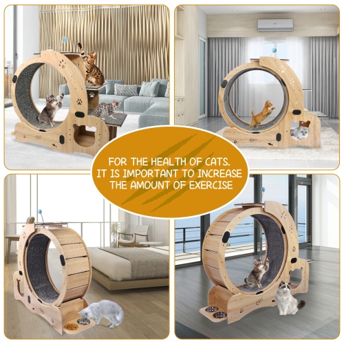 Cat Wheel 6 in 1 Cat Fitness Wheel natural wood indoor exercise
