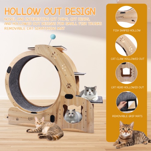 Cat Wheel 6 in 1 Cat Fitness Wheel natural wood indoor exercise