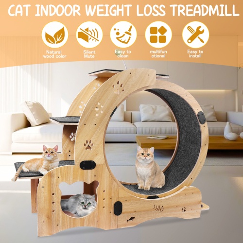 Cat Wheel 6 in 1 Cat Fitness Wheel natural wood indoor exercise