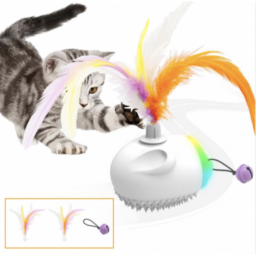 Battery Operated Cat Toys interactive indoor play