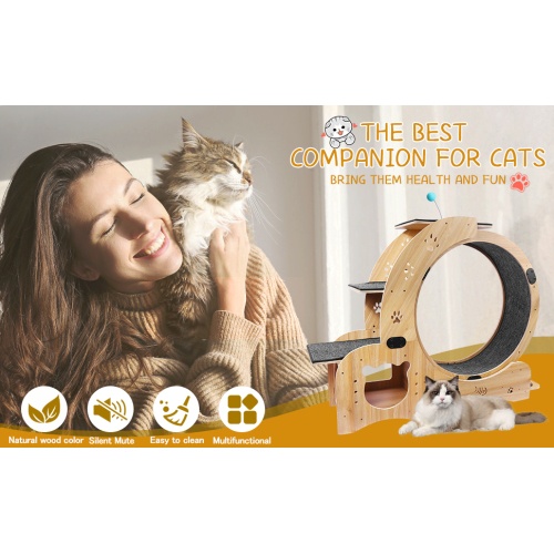 Cat Wheel 6 in 1 Cat Fitness Wheel natural wood indoor exercise