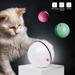 Interactive Cat Toy Ball with Catnip